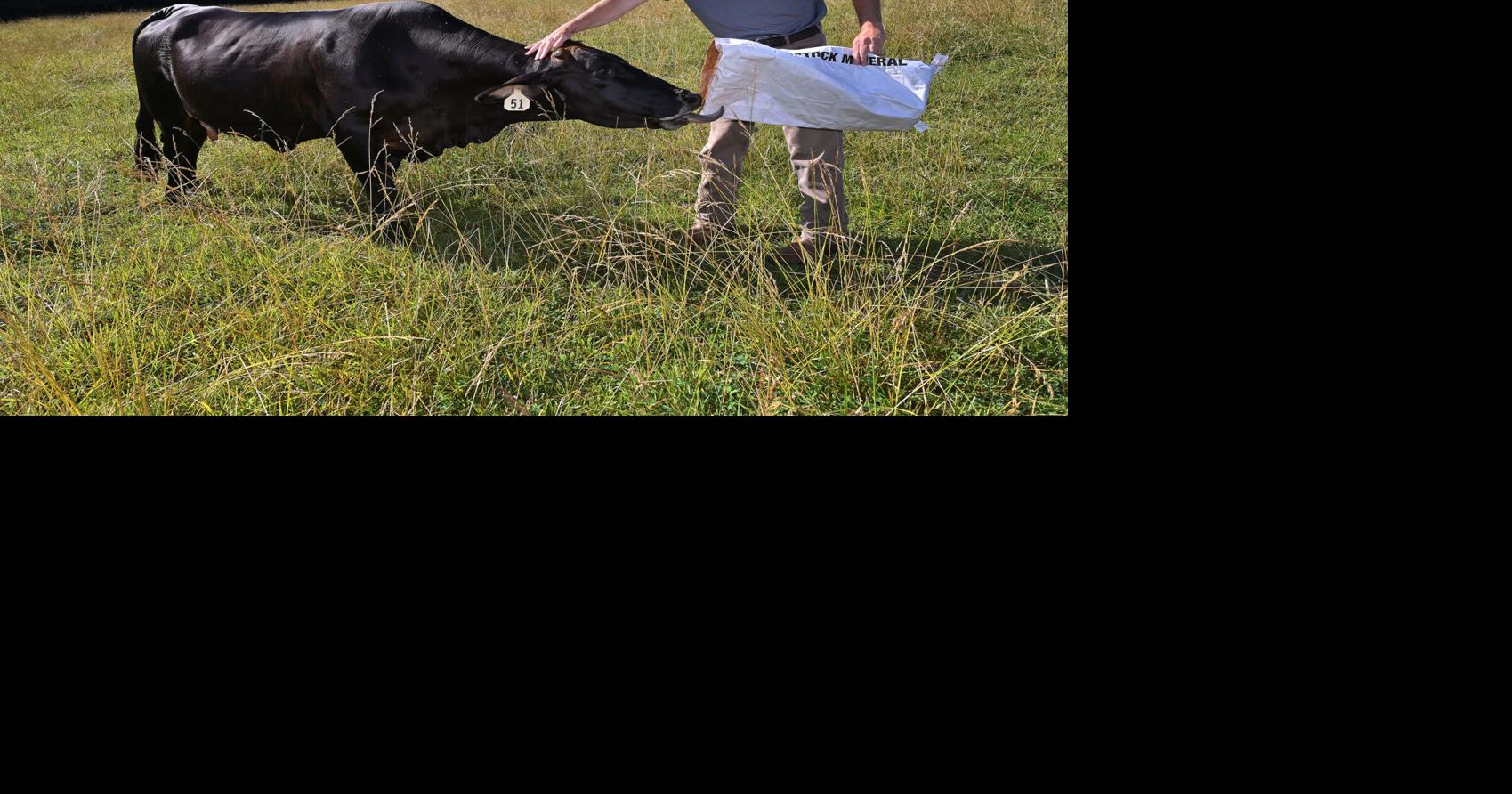 Remembering Spartanburg Co. deputy killed in the line of duty one year