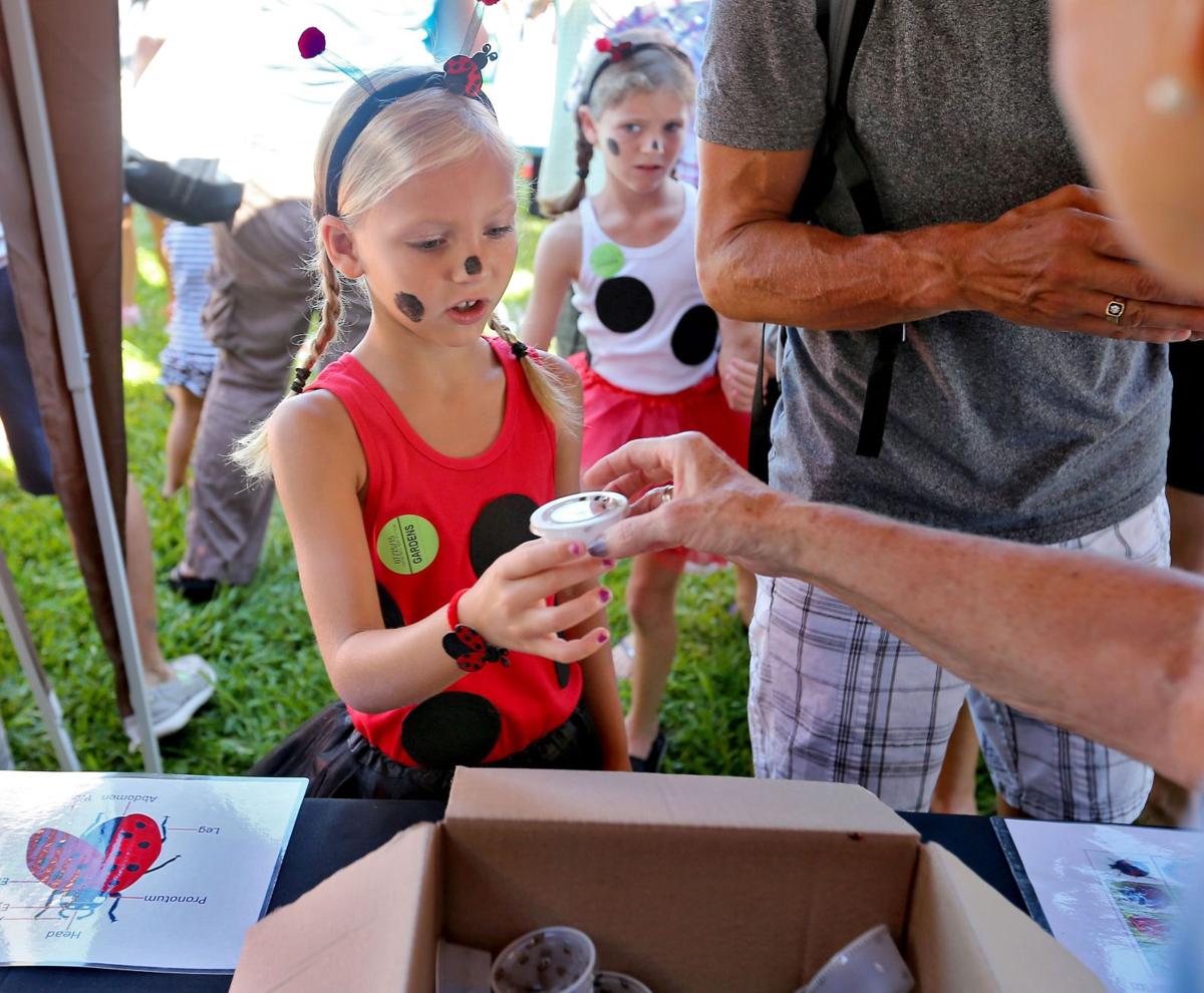 More than 150,000 ladybugs released at Magnolia Plantation