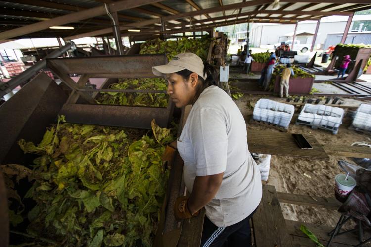 tobacco check Two stores fail tobacco compliance checks