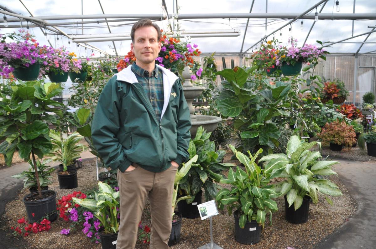 Cold Creek Nurseries' new owner renovating store, planning for