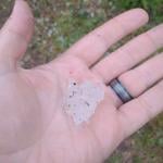 SC farm Organically Roland battered by hail, bolstered by outpouring of support