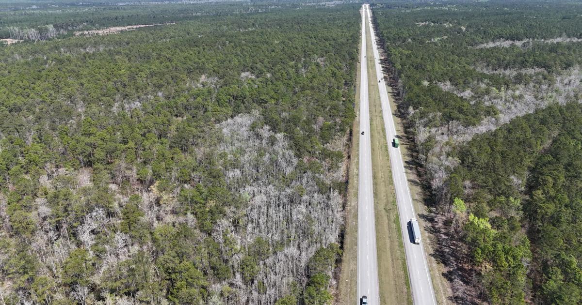 Conservation easements protect 1,000+ acres near Cape Romain ...