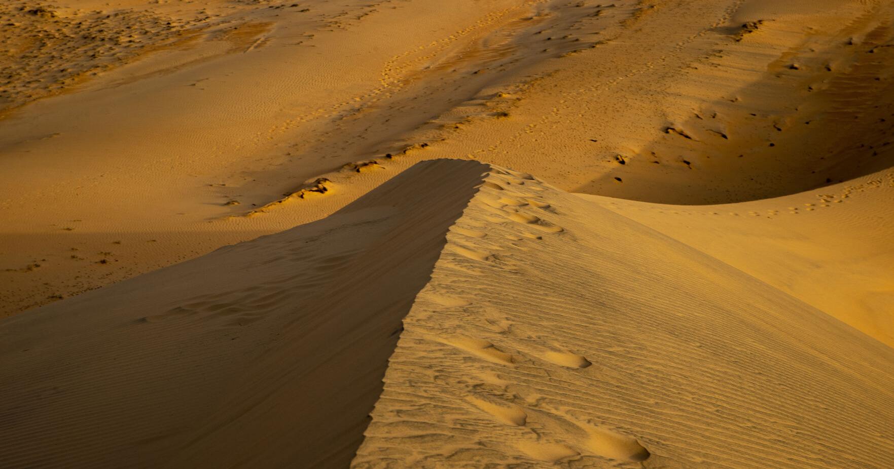 4 ways the Sahara Desert impacts SC | Hurricane Wire - Vimarsana News