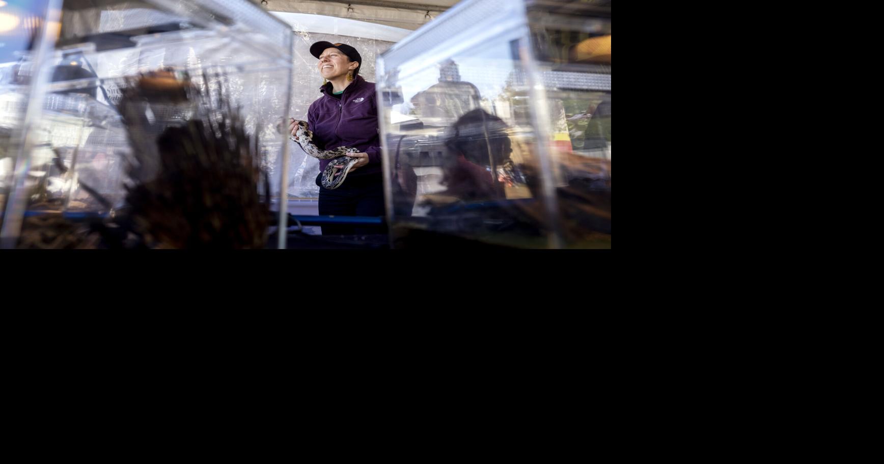 From sculptures and vultures to a 13-ft anaconda, here’s 5 highlights from day 1 of SEWE