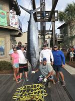 Record fish among big catches in SC Wahoo Series