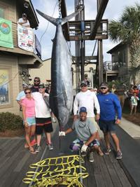 Bohicket Marina billfish, dolphin tournaments canceled for 2021