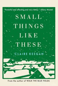 Review: Beauty is in the small things of this finely wrought short novel