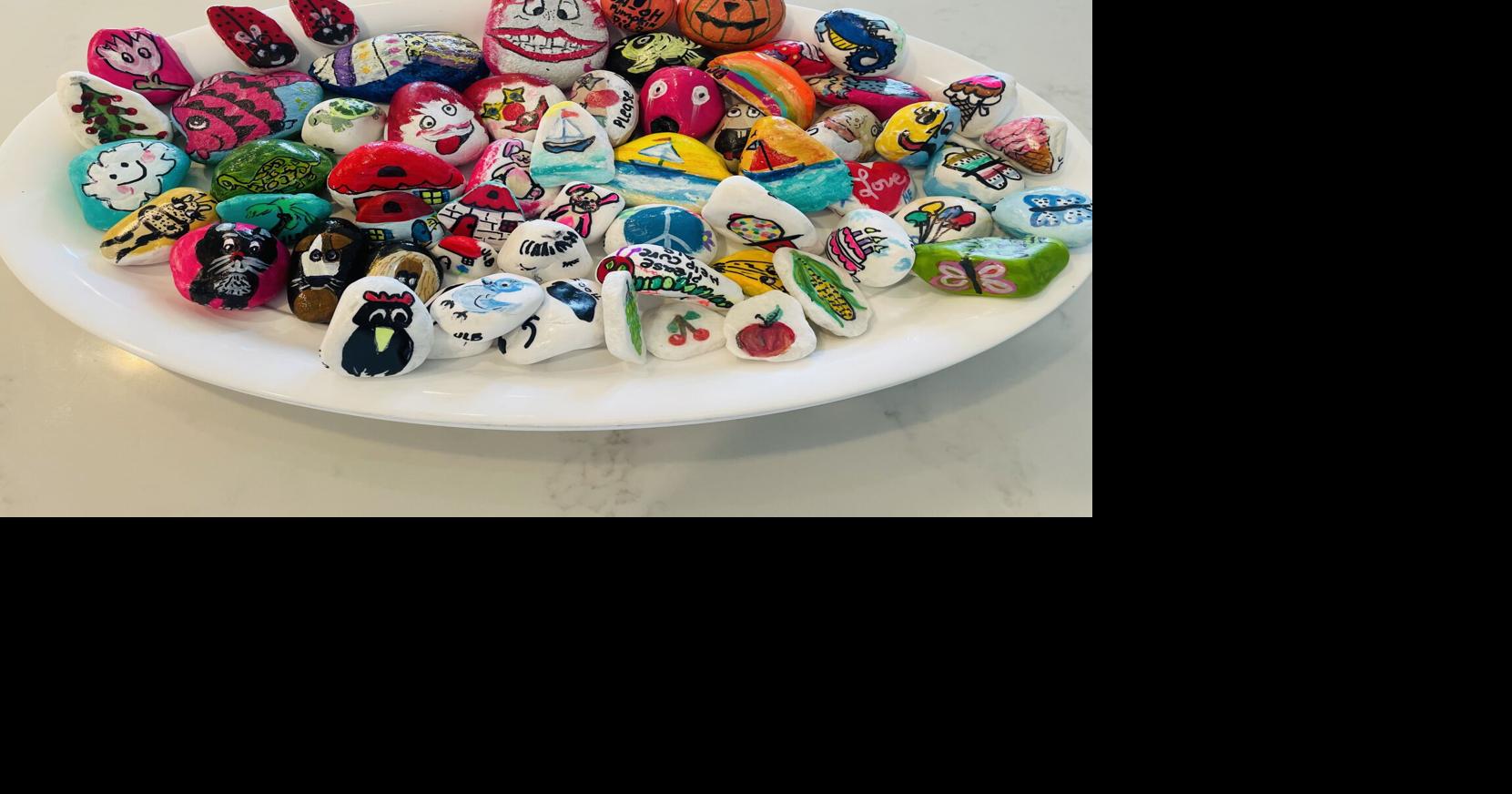 Here's the story behind 150 painted rocks in Charleston area