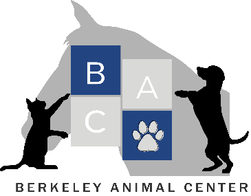 Berkeley Animal Center issues urgent plea amid severe overcrowding