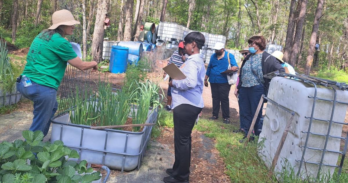 Clemson Extension’s nutrition program promotes health and wellness across the county Clemson Extension’s nutrition program promotes health and wellness across the county