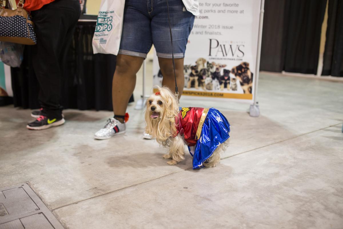 Pet Expo-October 14, 2017-525