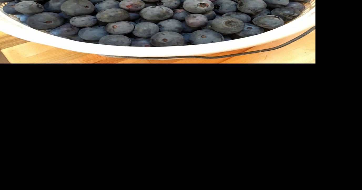 Frozen blueberries sold at Publix in SC recalled after a dozen sickened