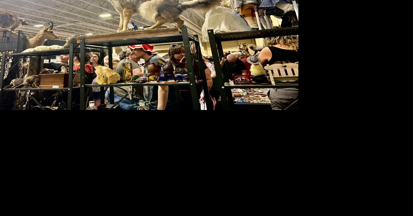 Photos: World Oddities Expo brings odd and macabre to Charleston