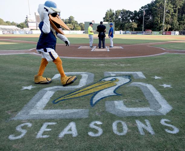 Myrtle Beach Pelicans Stadium deal could keep team in city Myrtle