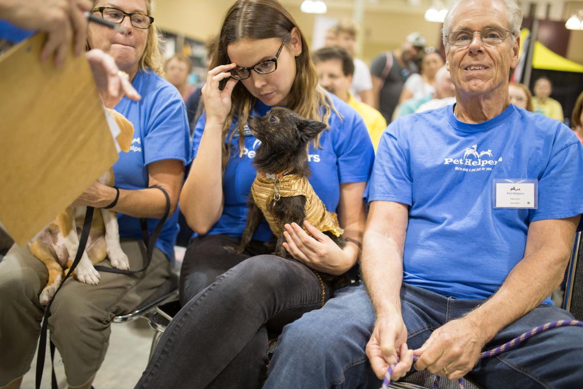 Pet Expo-October 14, 2017-849