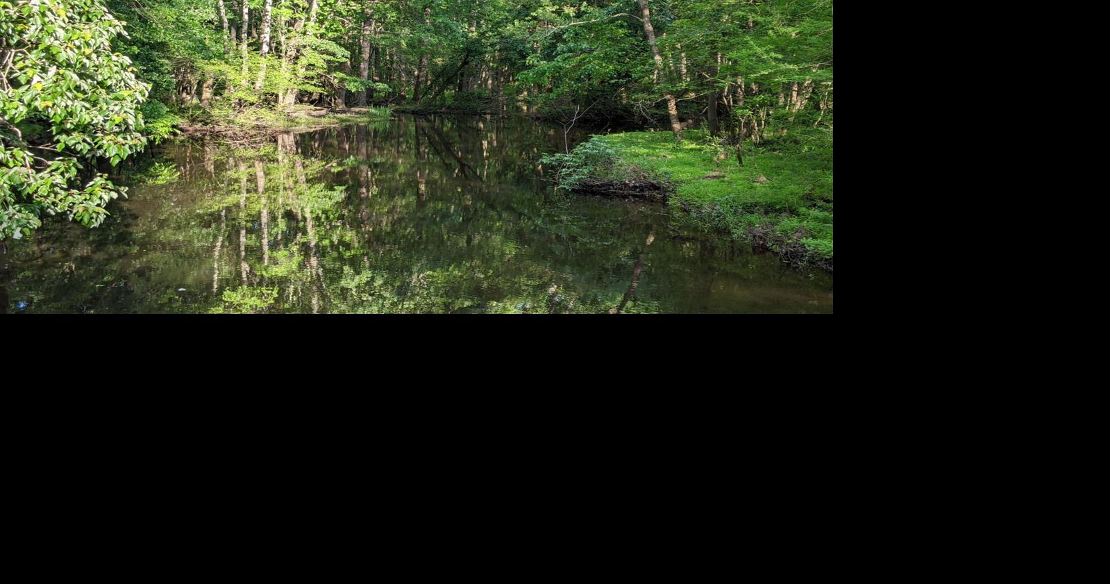 Florence sewage overflow's bad smell and pollution prompt a quick fix. The bigger fix costs $50M.