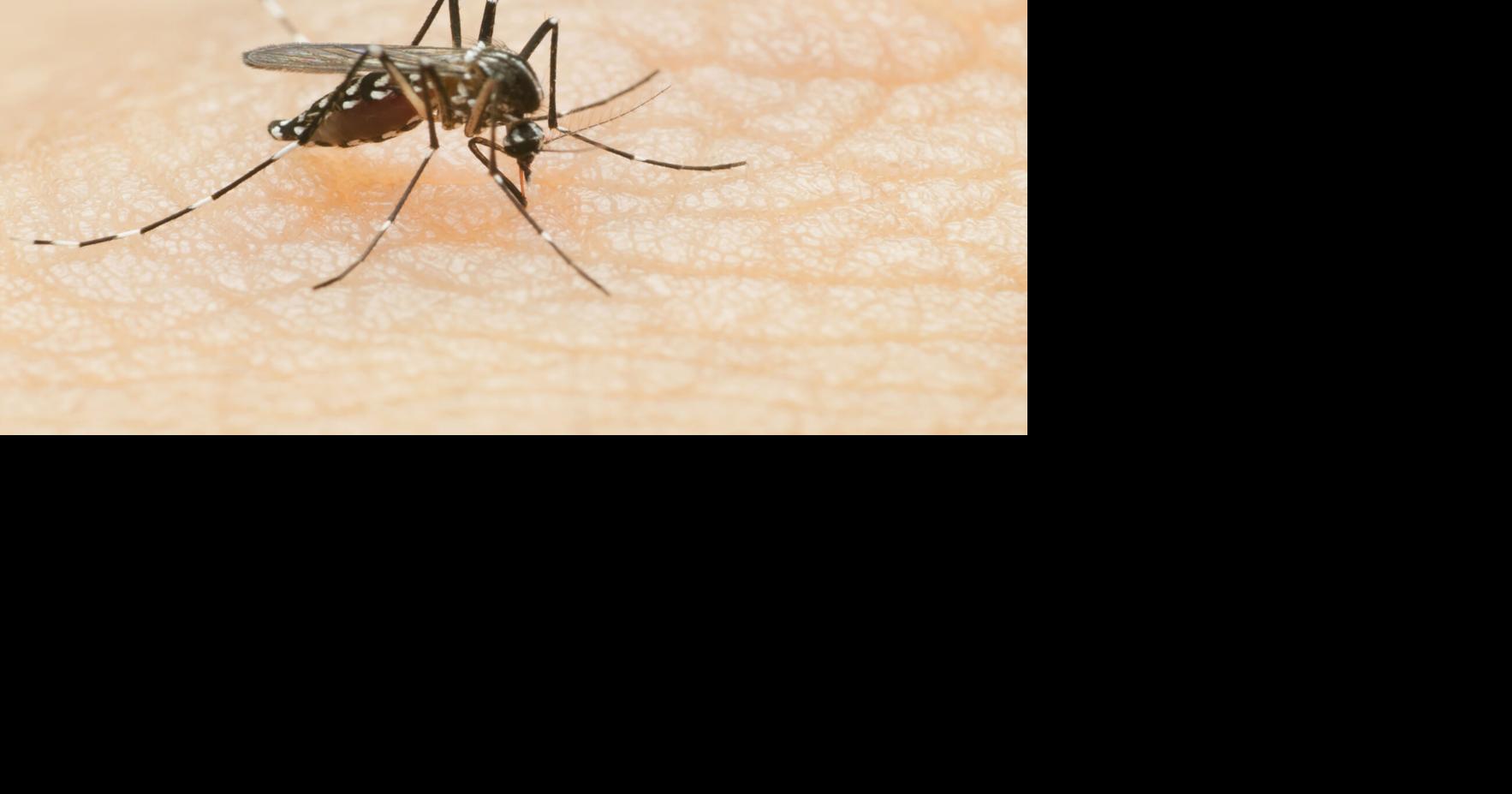 2 cases of West Nile virus confirmed in coastal SC city, mosquito spraying to ramp up