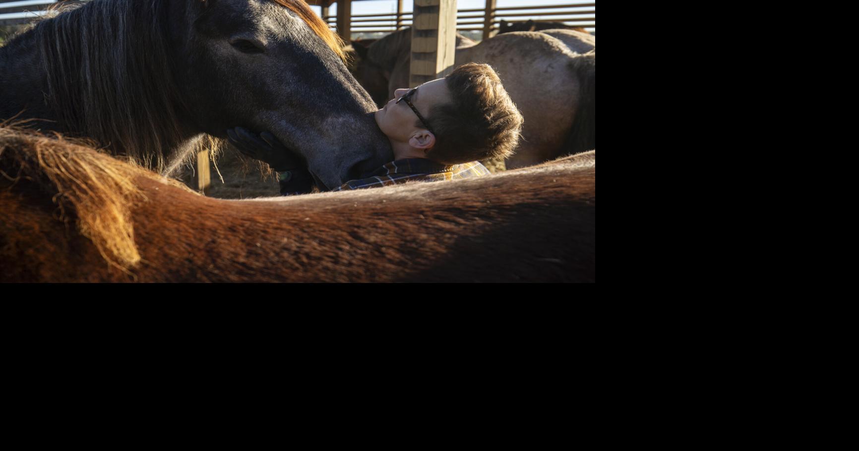Only about 7,000 of these giant horses are left globally. 5 live in the South Carolina Lowcountry.