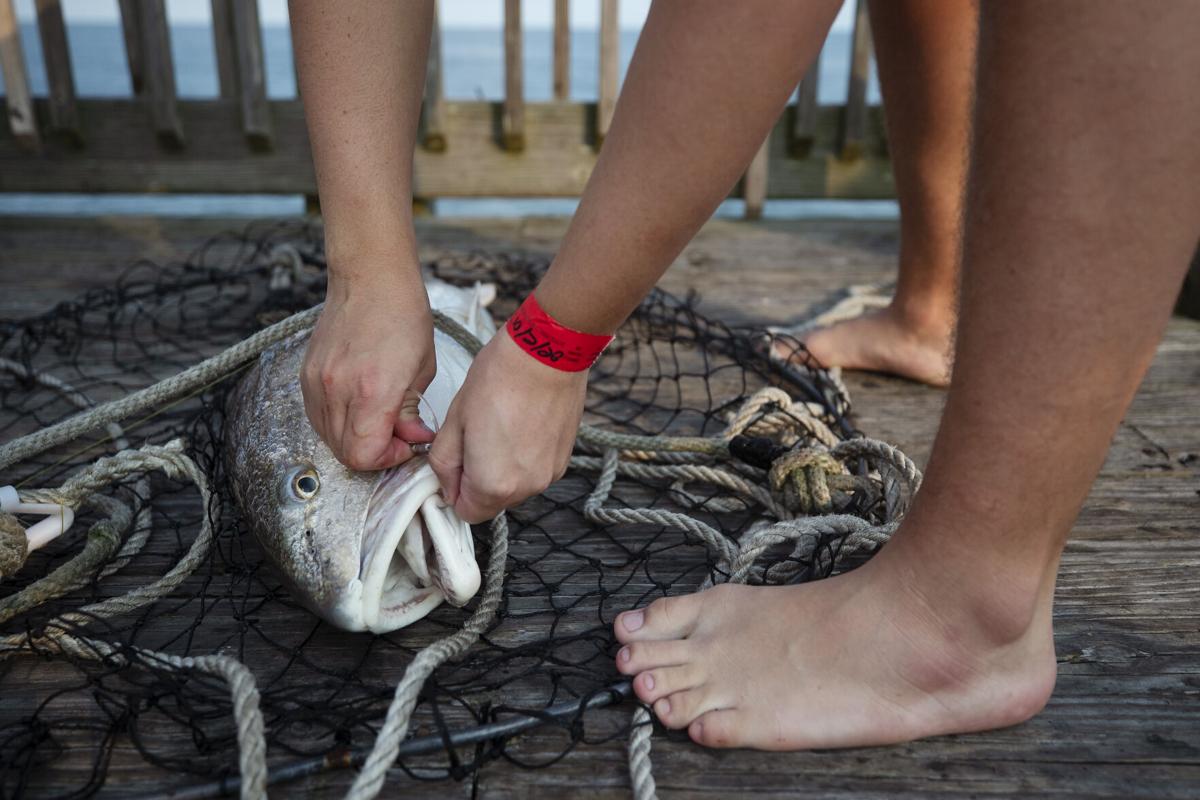 red drum.jpg