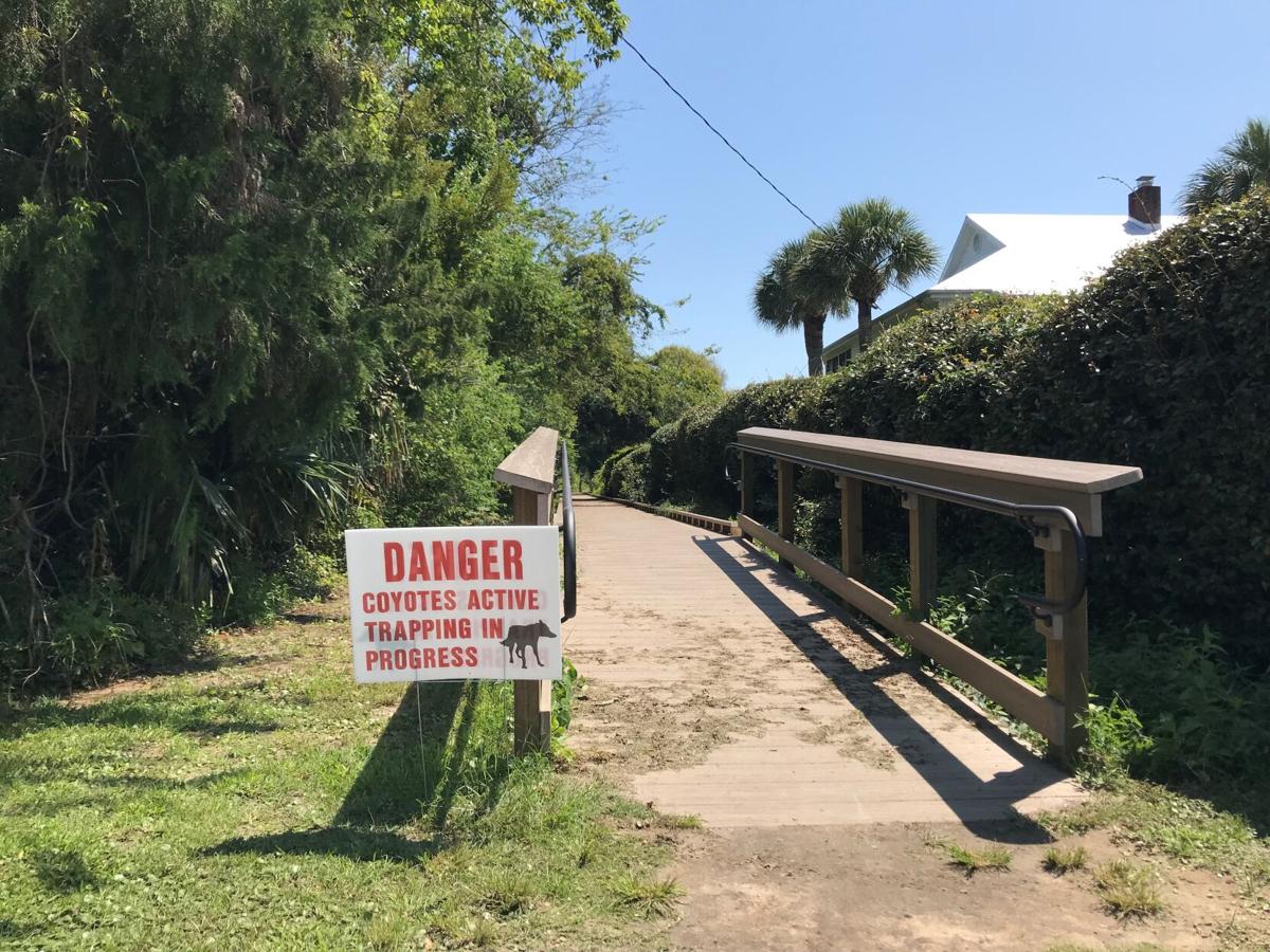 Why is Pickleball Dangerous: Uncovering the Risks