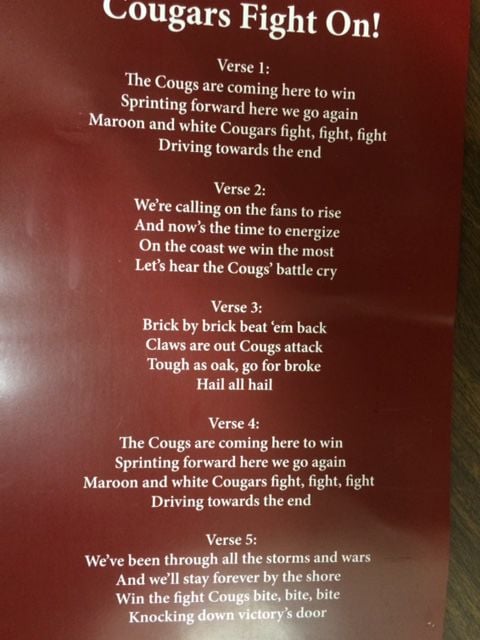 We Won The Fight Lyrics