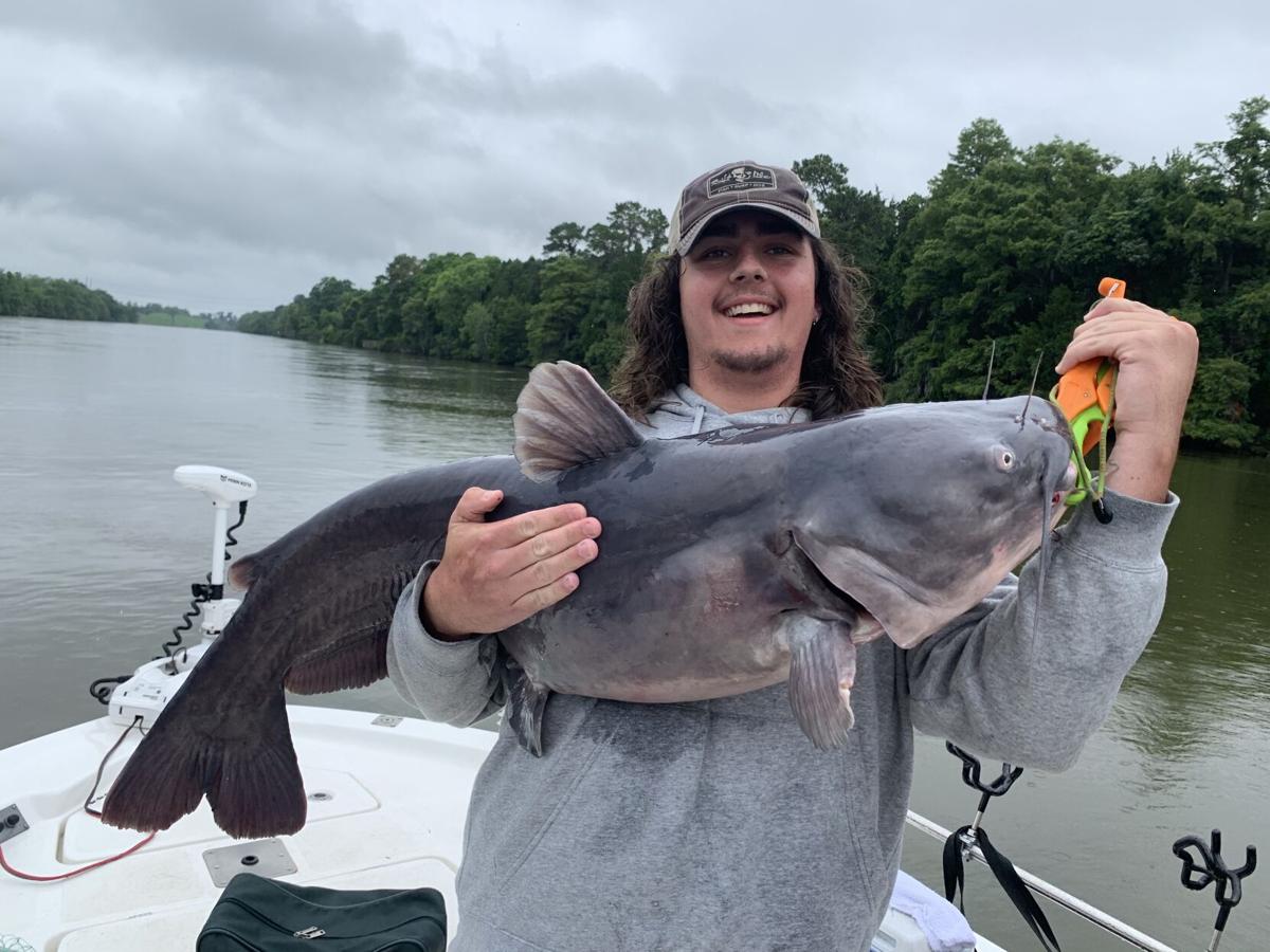 Fishing business booming with big catfish, stripers aplenty in Santee Cooper  Lakes, Fishing
