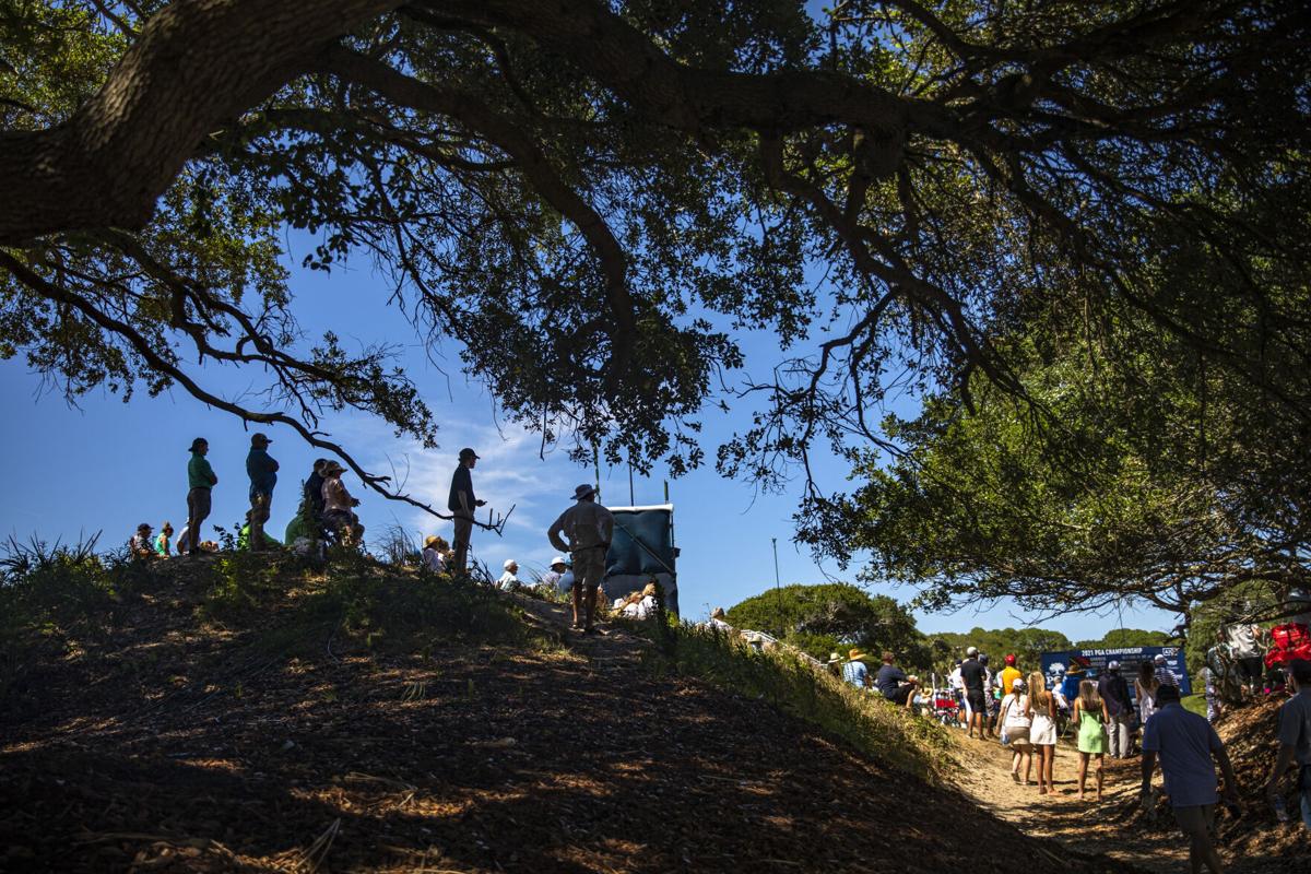 9th hole trees.jpg