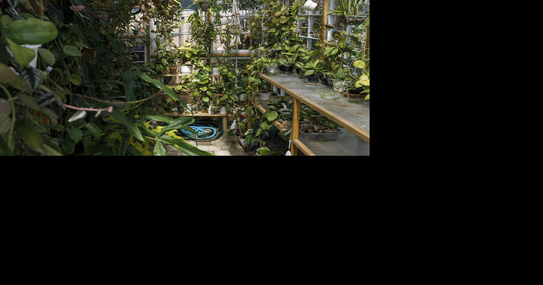 Charleston greenhouses help plants grow all year long Features