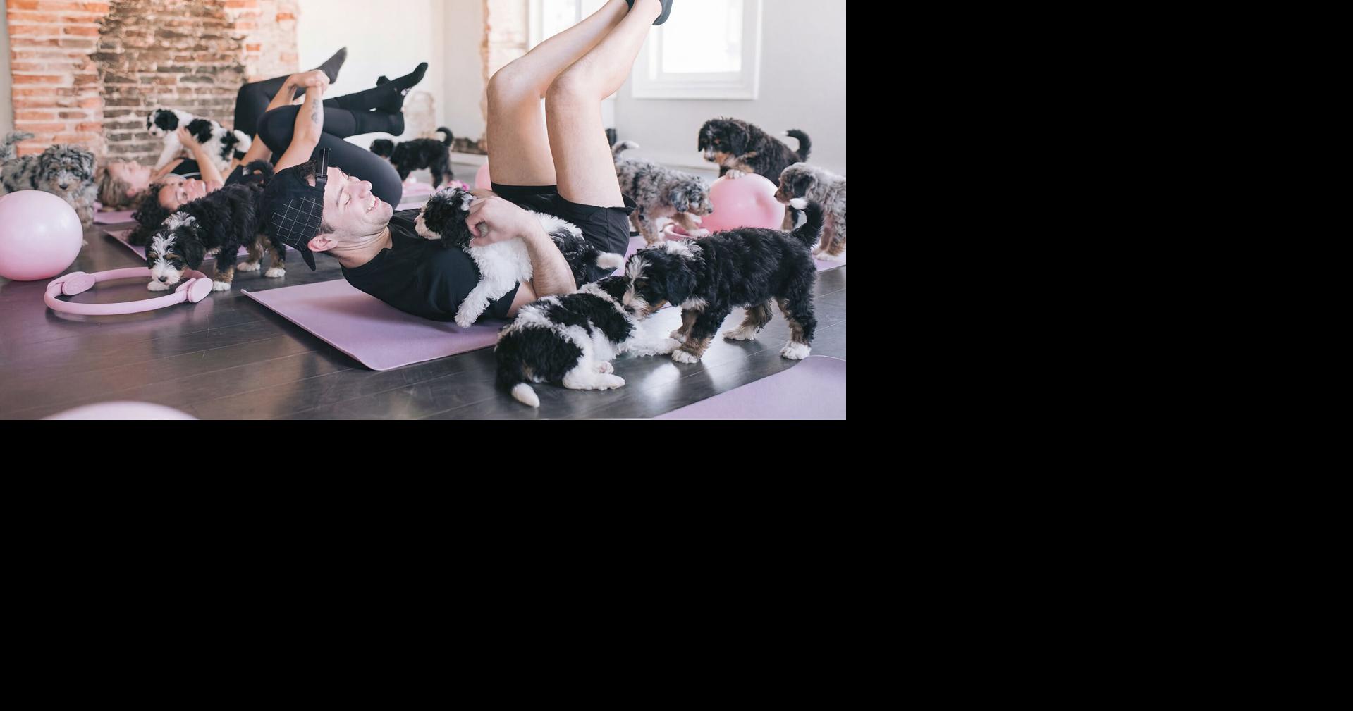 Puppies and Pilates and other fun workouts in Charleston, SC