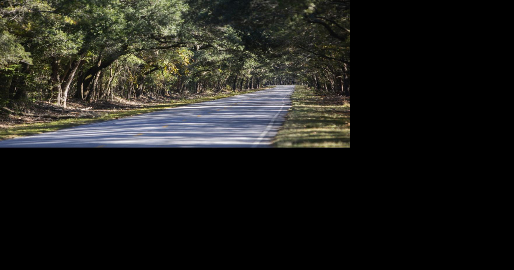 Wadmalaw to stay rural with density bonuses removed News