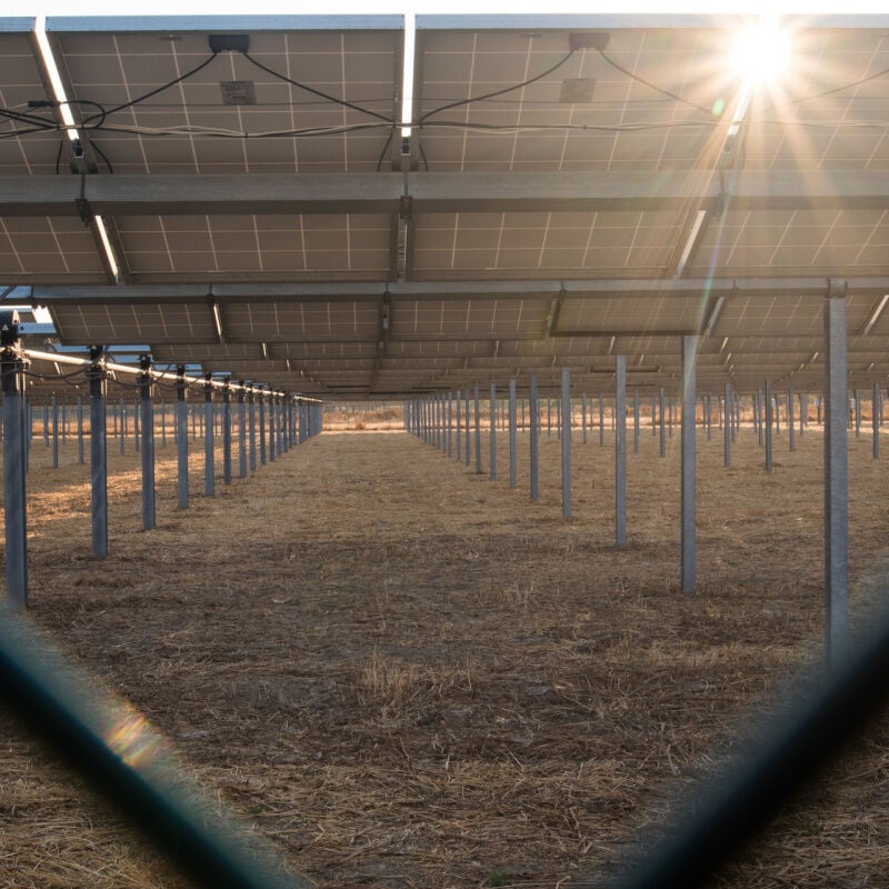 Berkeley citizens speak out against large solar farm