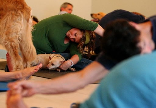 Doga | Photos from The Post and Courier | postandcourier.com