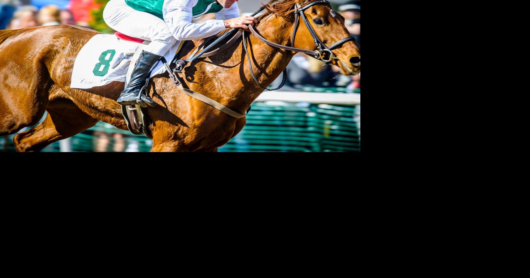 Charleston Cup races back Nov. 8