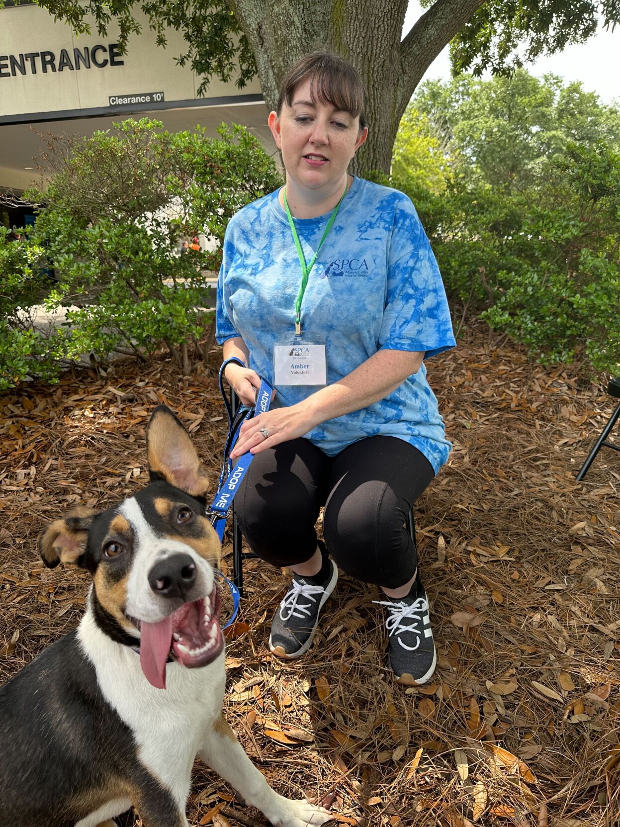 SPCA Albrecht Center offers tips for adopting a dog