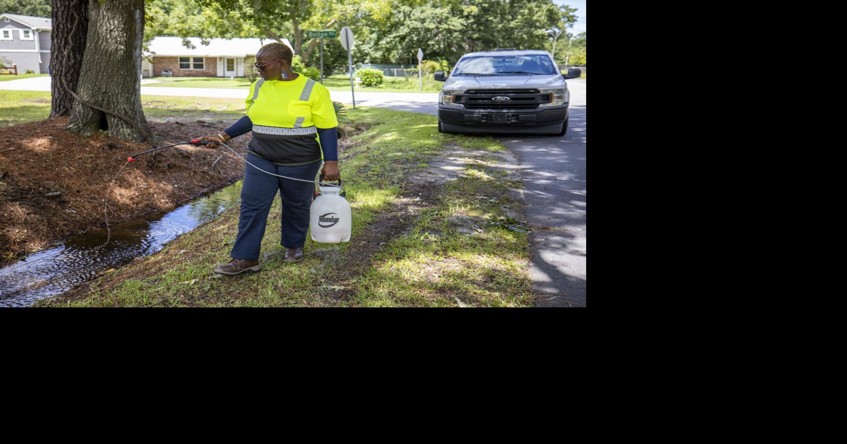 Charleston County ramps up mosquito spraying after West Nile virus cases confirmed in the area