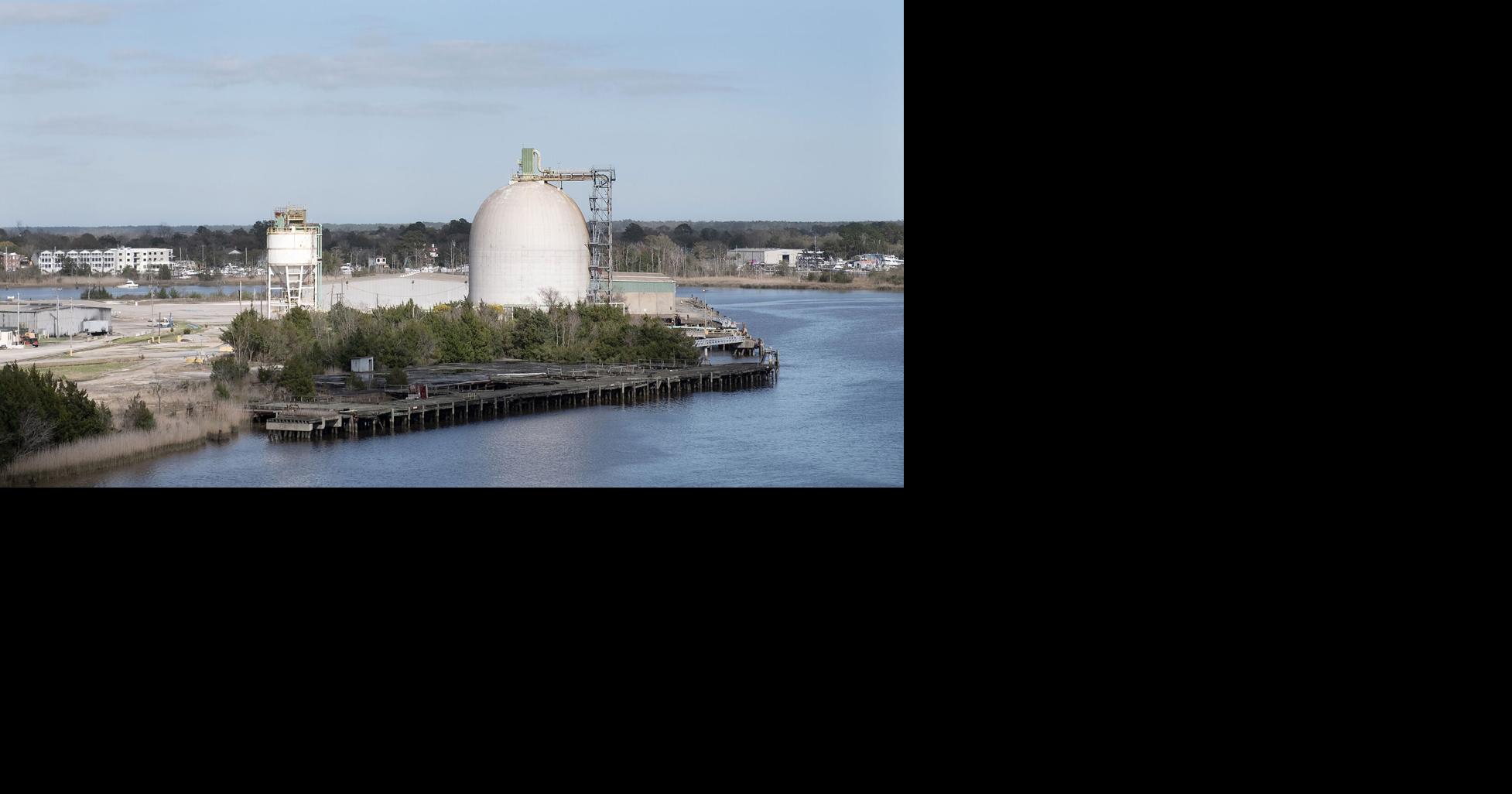 Georgetown County wants IP land for port redevelopment