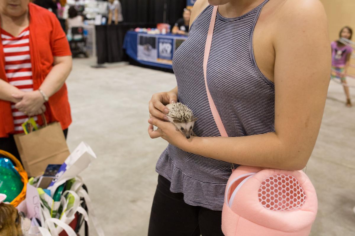 Pet Expo-October 14, 2017-827