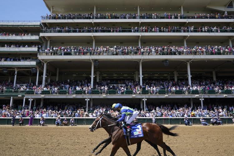 Aiken-trained Dream Shake finishes second, beaten only a ...