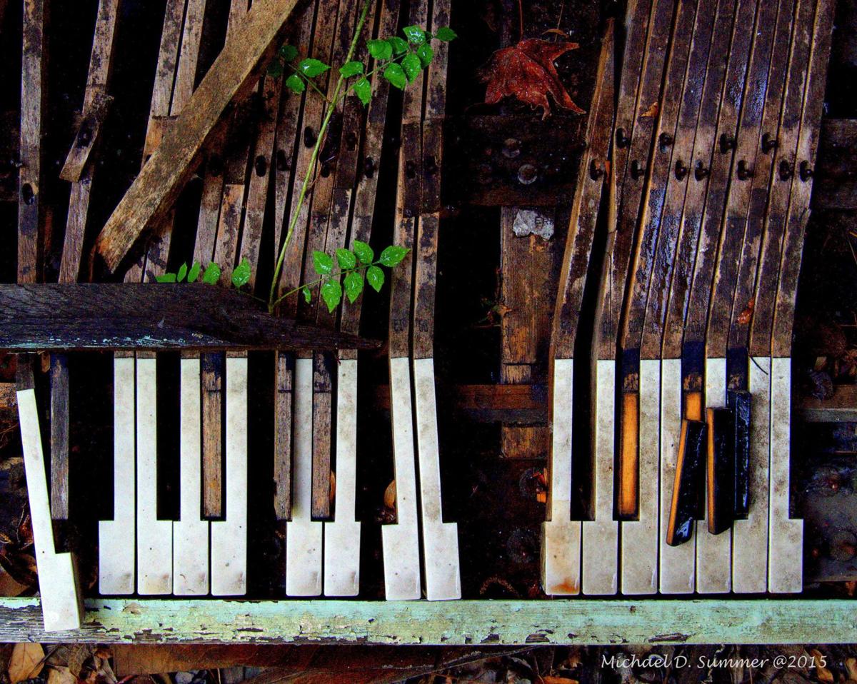 Reader photos: Patterns