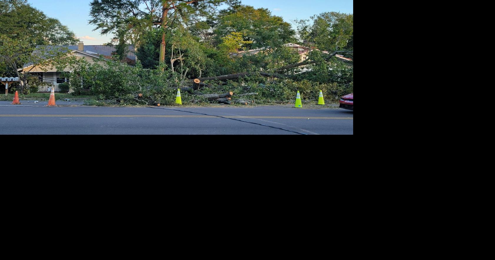North Augusta to get $430K grant to assess tree canopy, plant new trees post-Helene