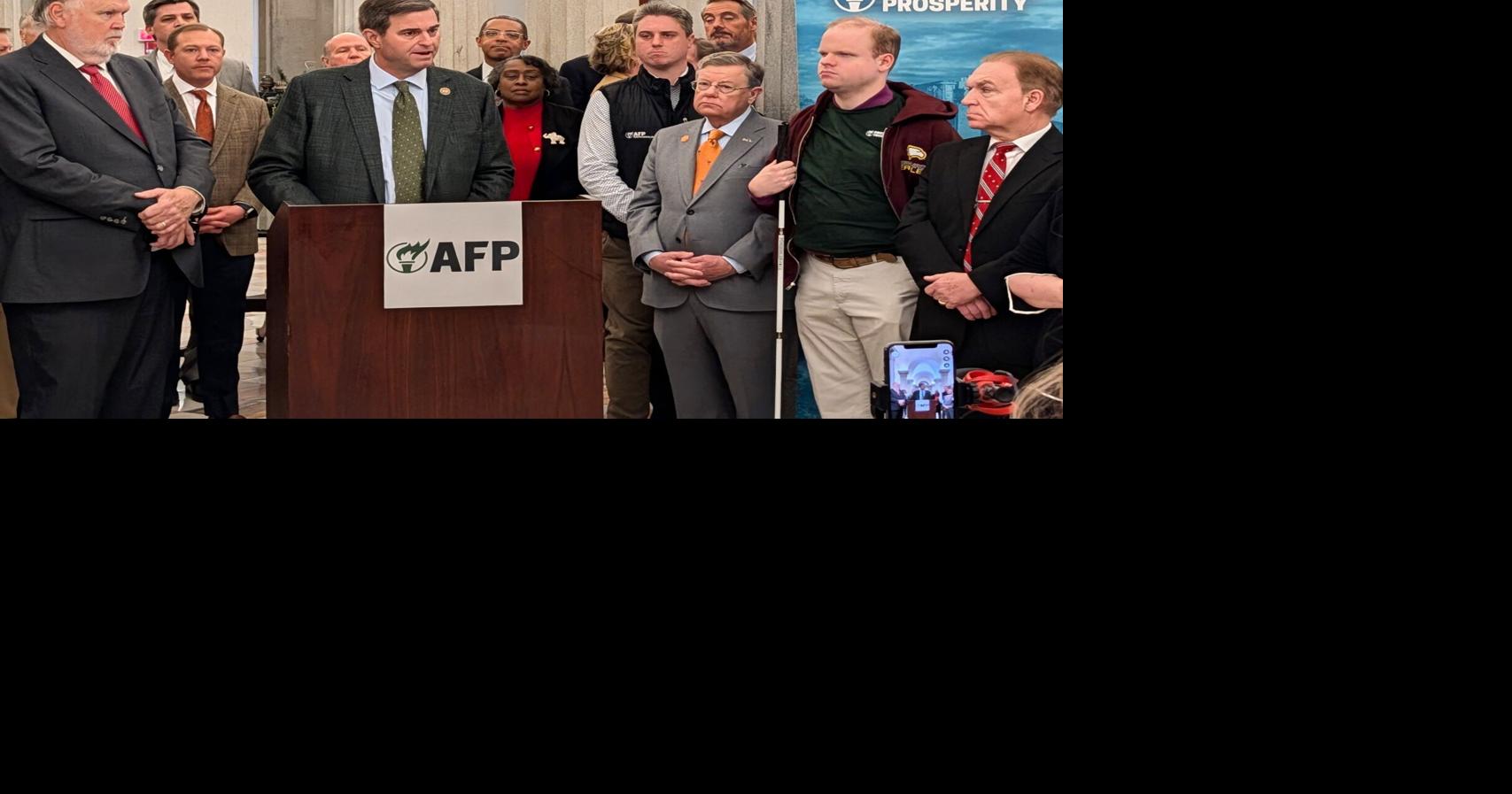 South Carolina Republicans pushing a bill they say will help small businesses. It does much more than that.