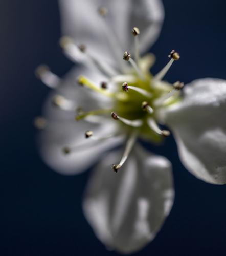 THIRD-pc-032425-ne-allergyhell02