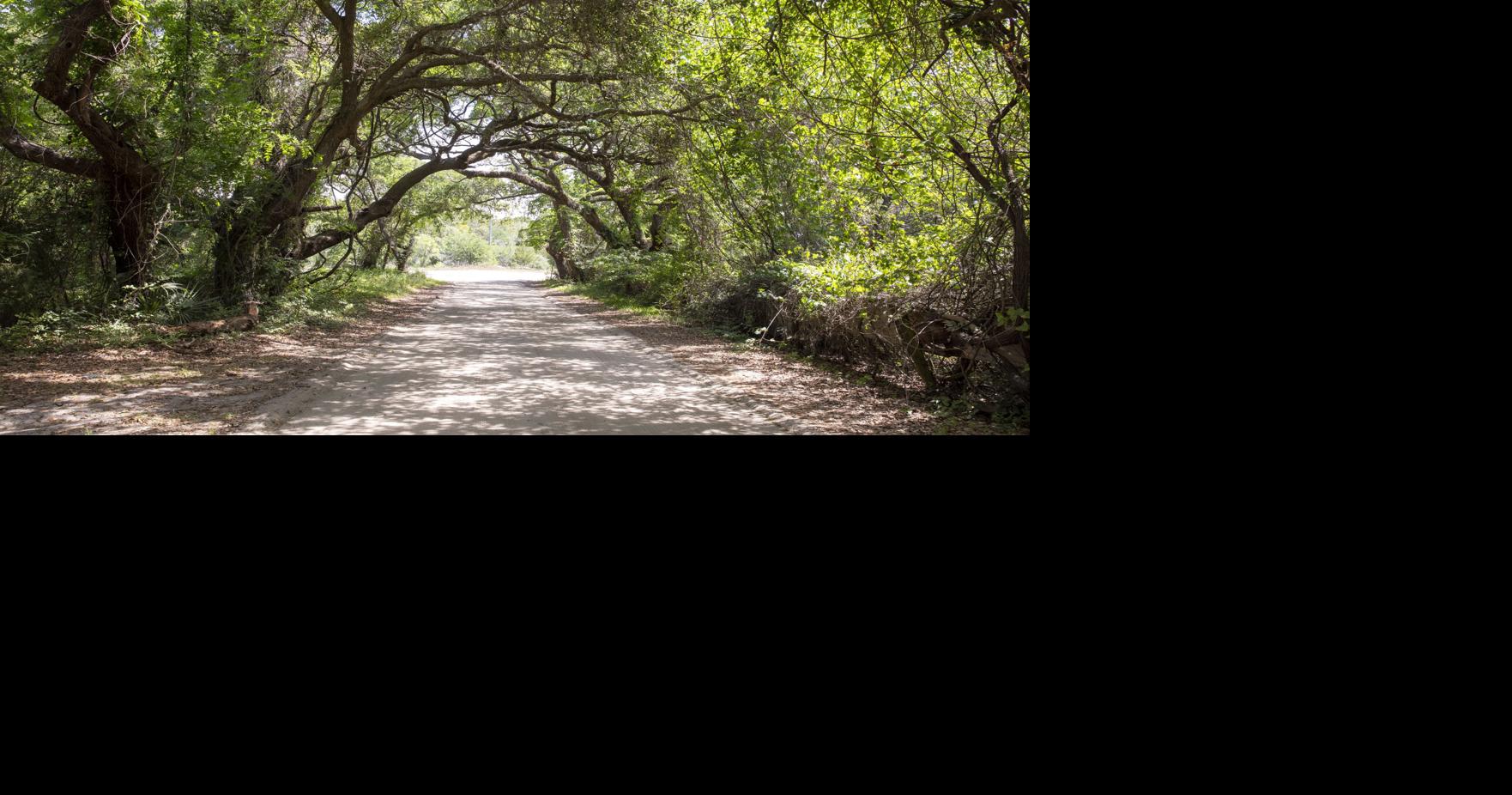 Editorial: Make this the last moratorium for Charleston County's settlement communities