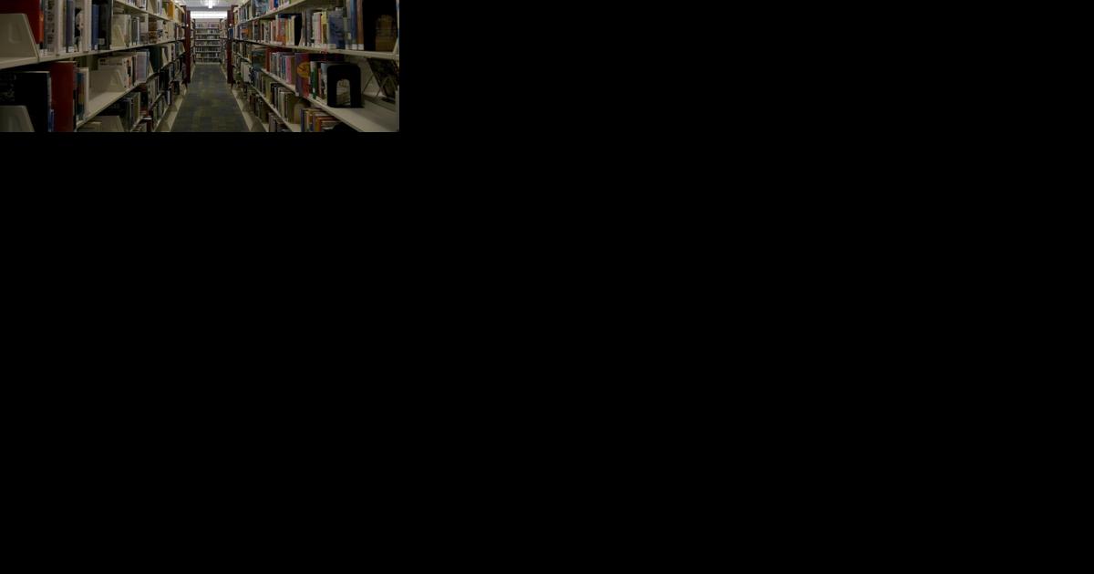 Between the Stacks: Art speaks and more - Vimarsana News