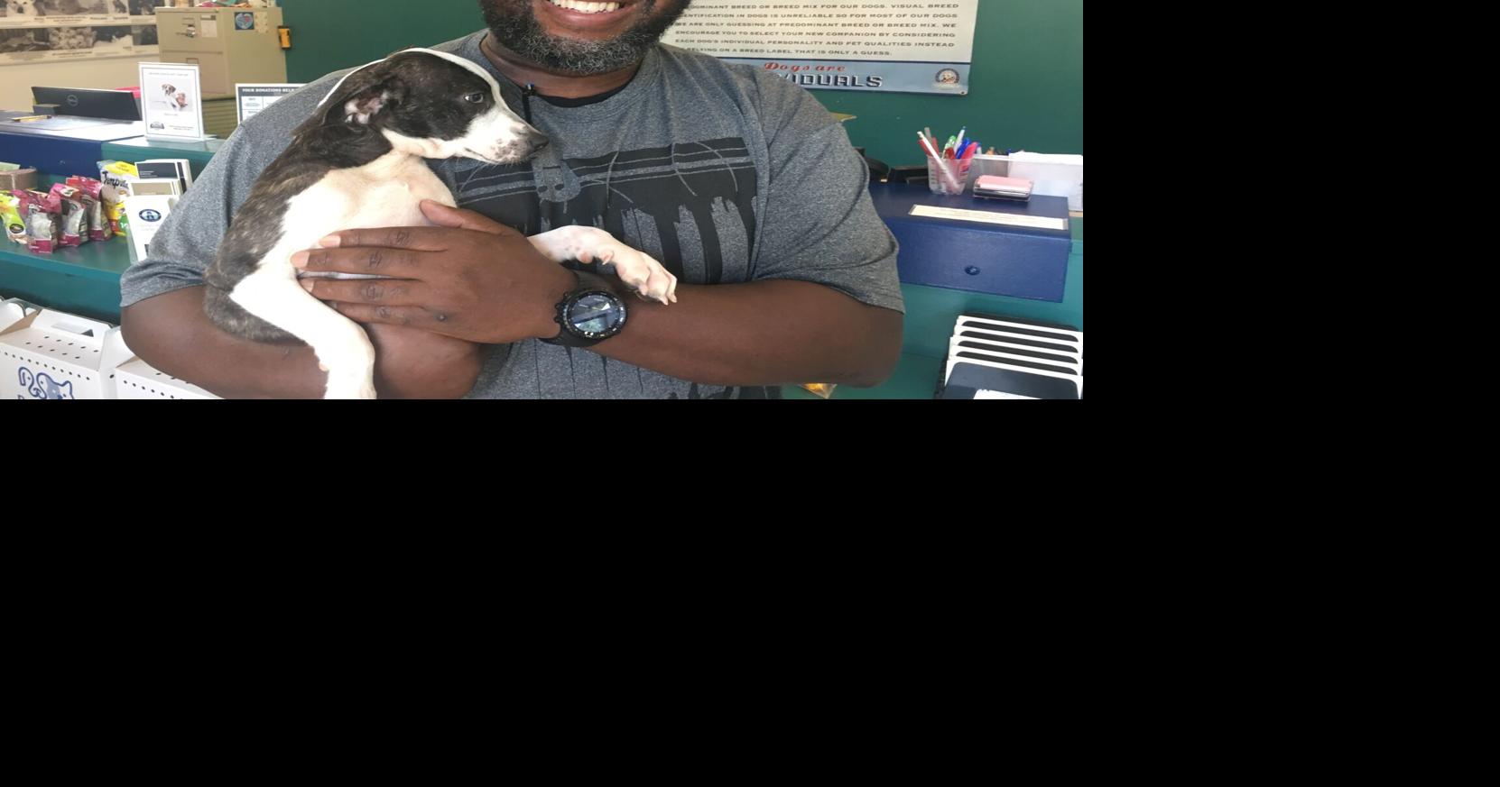 FOTAS: Twenty dogs from cruelty case find loving homes thanks to Aiken ...