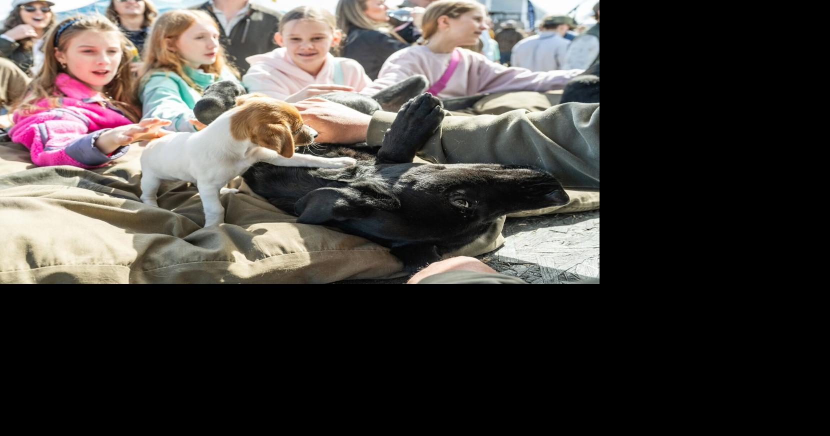 Tickets on sale for Southeastern Wildlife Exposition