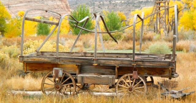Reader photo pick of the week: Abandoned - Vimarsana News