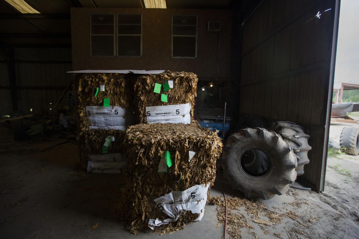 LP tobacco farm 082418 010.JPG