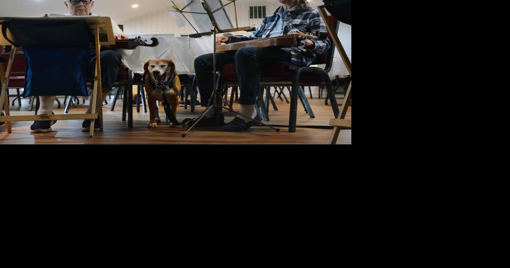 Mountain Dulcimers group returns to making music In the Spotlight