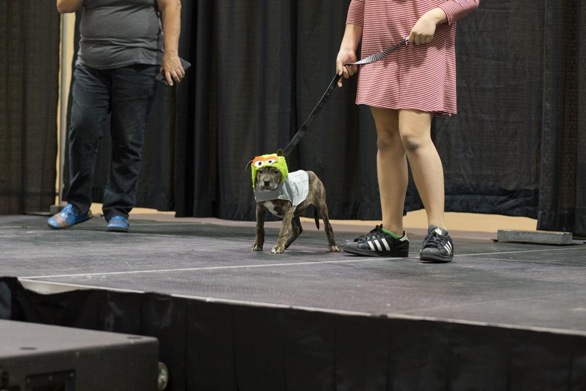 Pet Expo-October 14, 2017-920